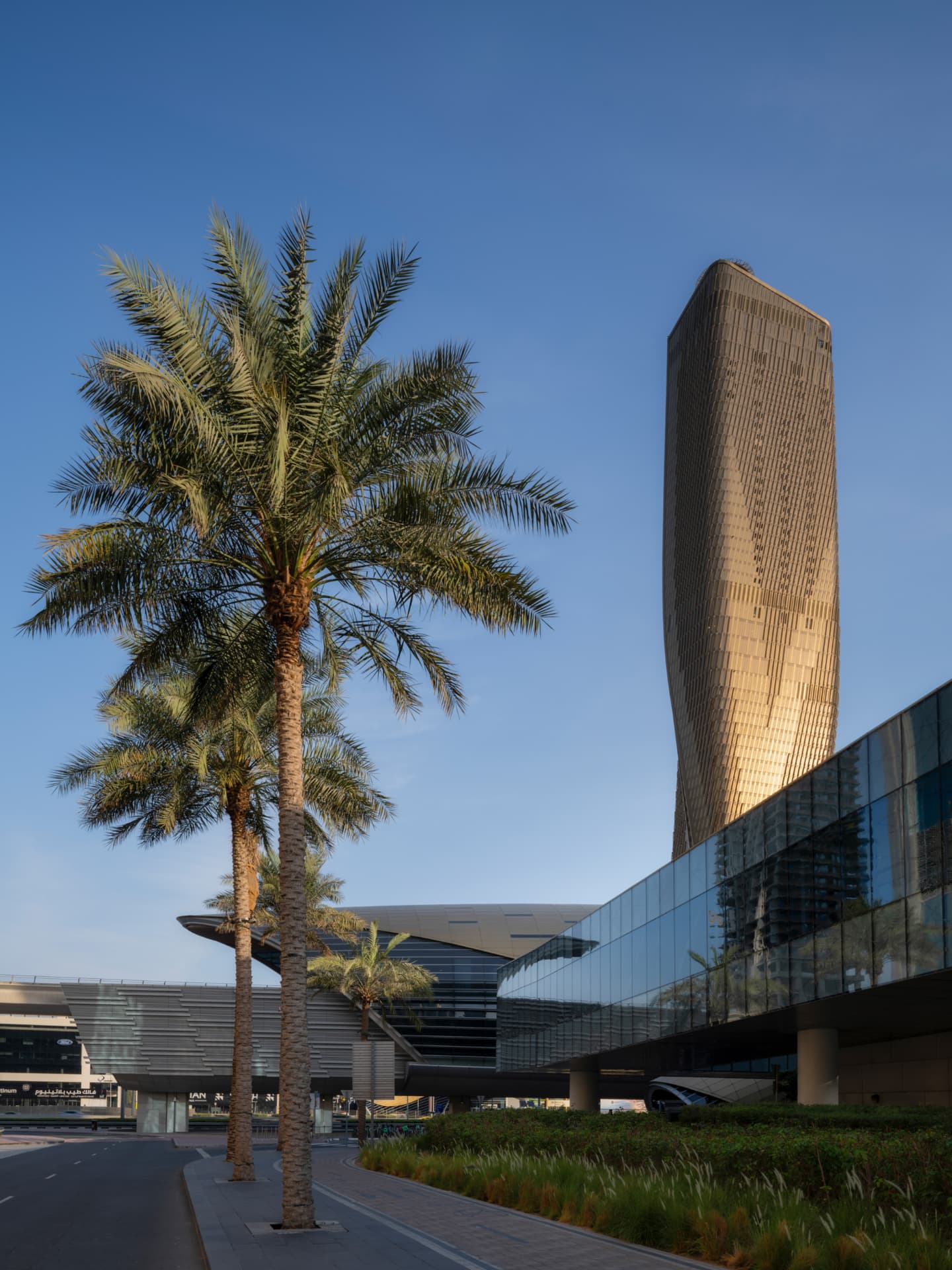 Wasl Tower behind a foreground palm tree at dusk